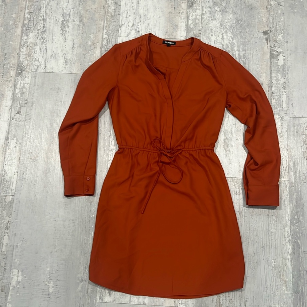 Express Orange Dress